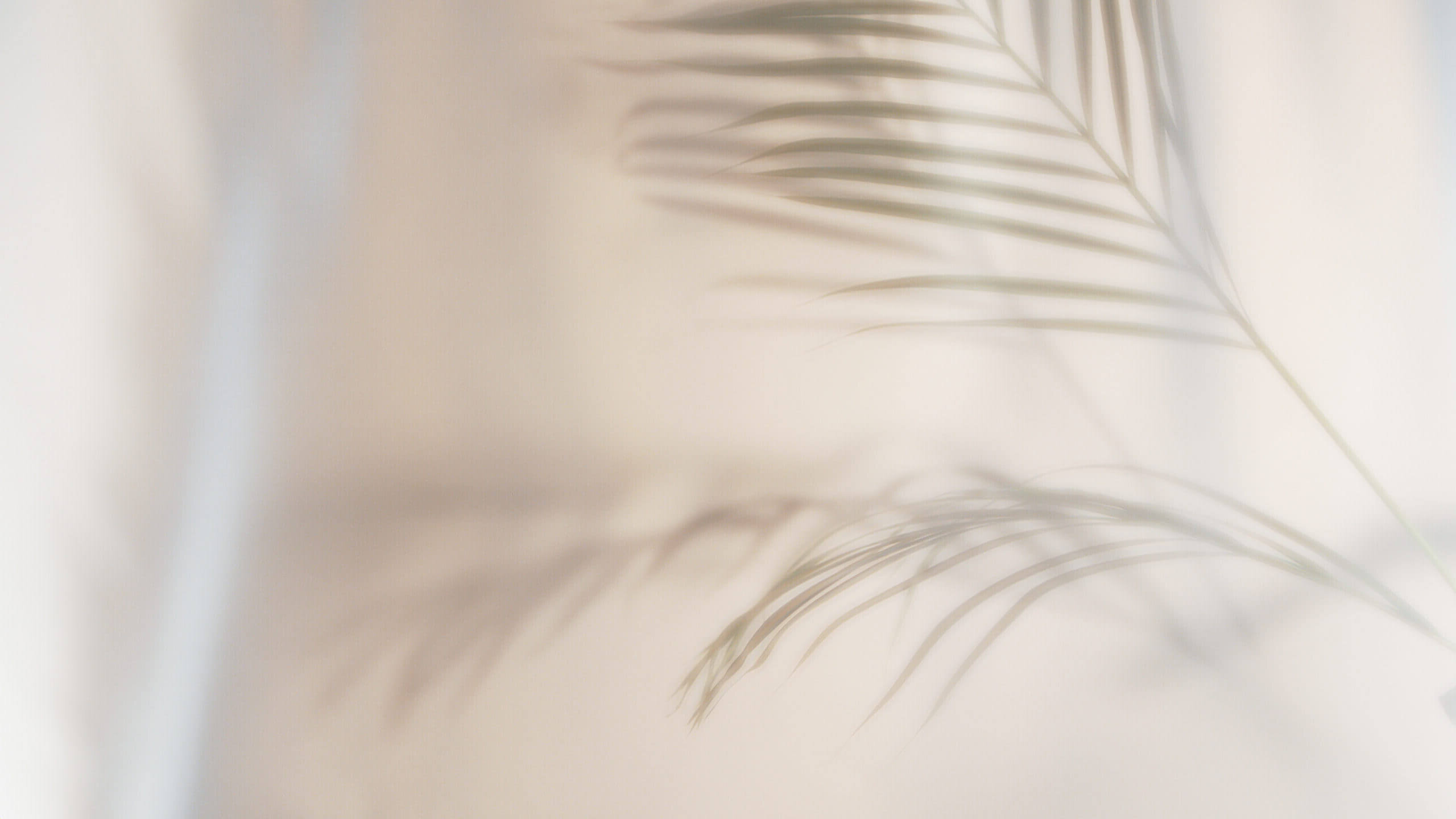 Soft shadow of a palm leaf on a beige surface, creating a calming, abstract effect illustrating the relief provided by The Remedy's mental health care